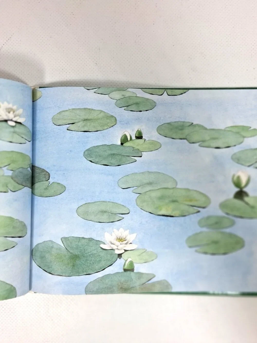 Little Beaver and The Echo by Amy MacDonald, Children's Book, 90s Y2K